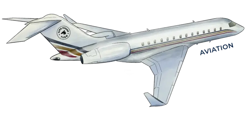 aviation