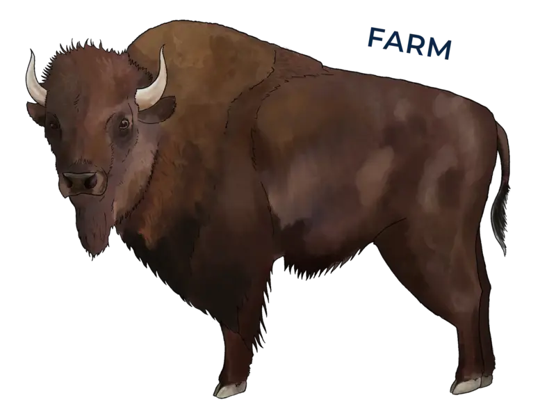 farm