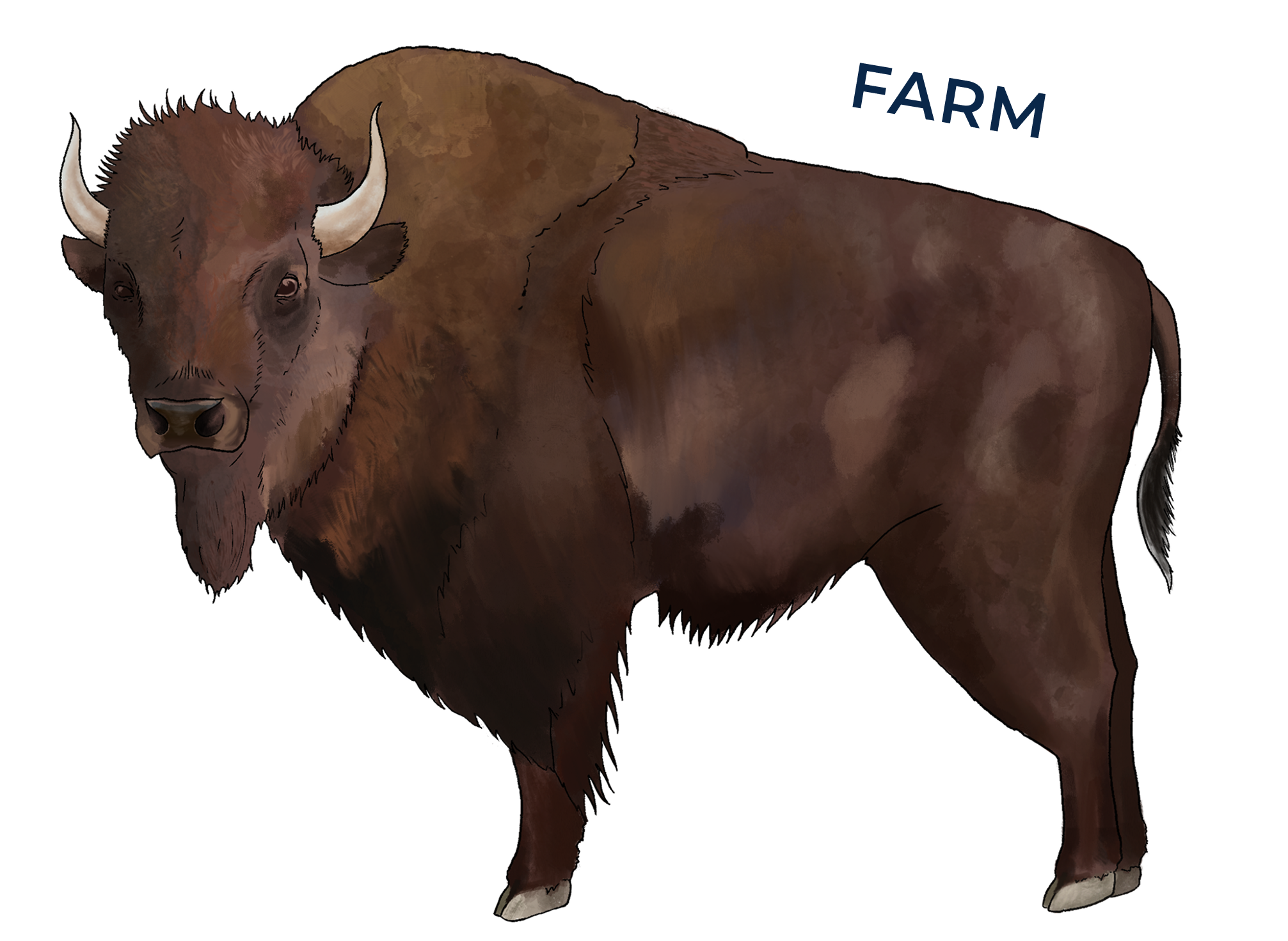 farm